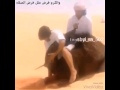 شيله ذبح القعدان 