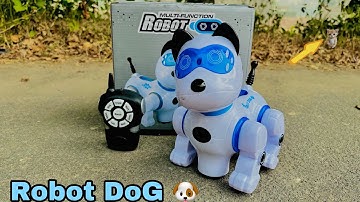RC Robot Dog Unboxing & Testing- Total Toys -2
