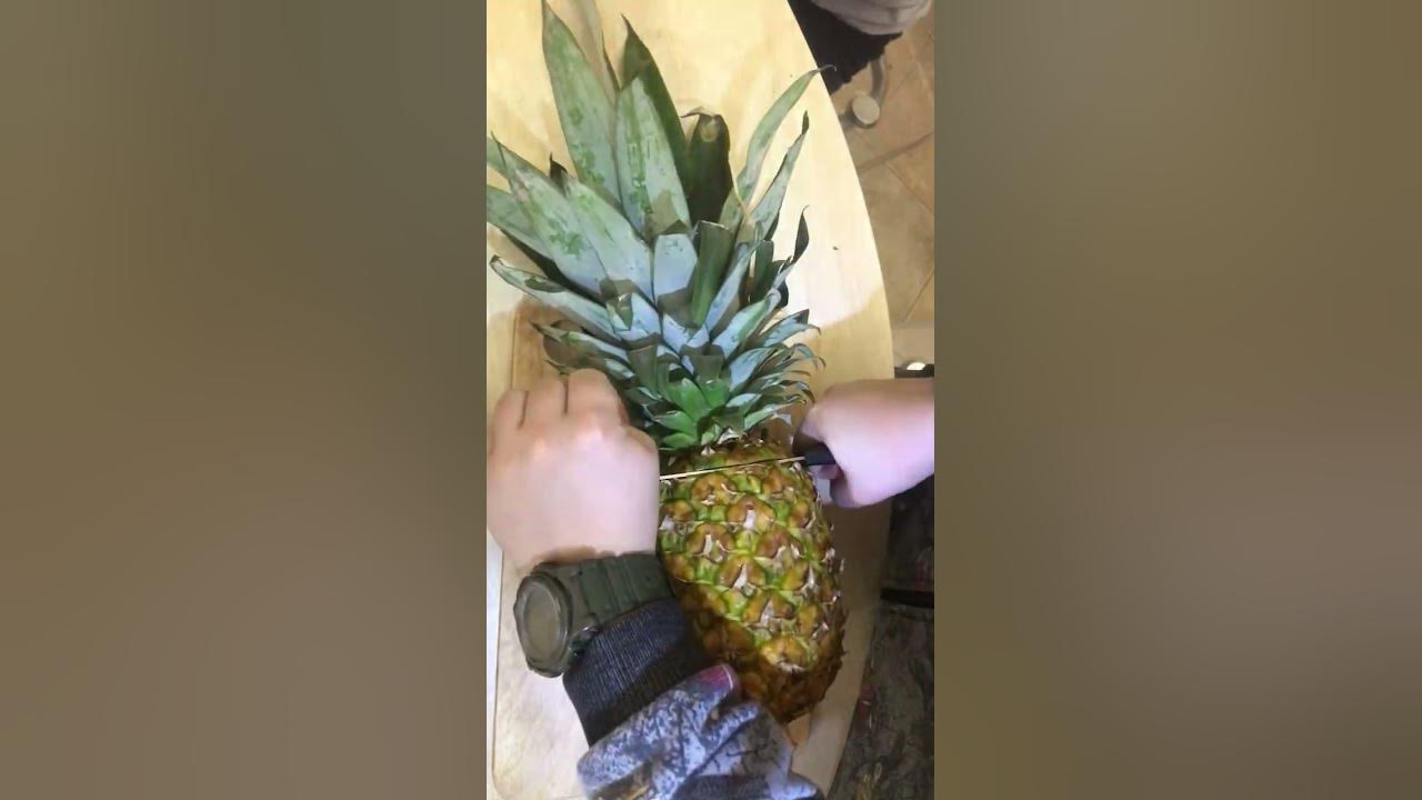 Фрут-ниндзя 🤣😂🤣🤪🤪 - YouTube
