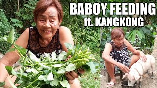 VLOG #56 : BABOY FEEDING ft. KANGKONG | UNSAON PAG LAWG SA BABOY WITH TANGKONG