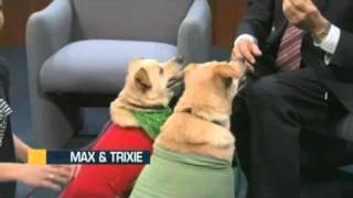 Pet Of The Week Dec. 23, 2010: Max And Trixie (Terrier