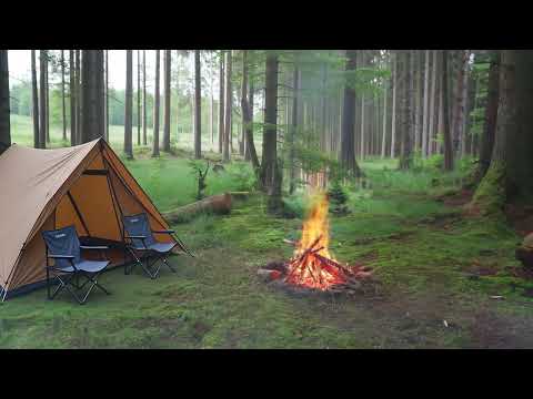 Cozy Camping ASMR 🔥 Forest Campfire Sounds for Deep Sleep, Relaxation & Stress Relief