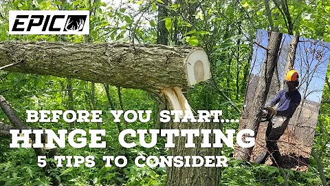 Hinge Cutting? Consider These Tips Before You Start.