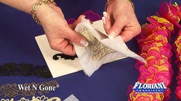 Wet N Gone