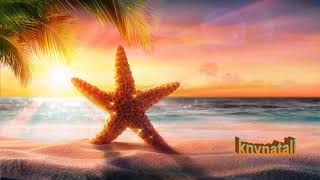  Beautiful Chillout Music Mix By Knvnatali