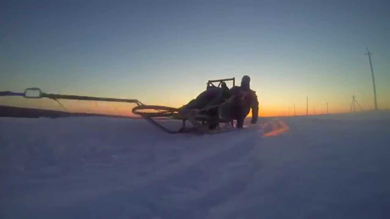 VOLGA QUEST SLED DOG RACE 2015 (EN) YouTube