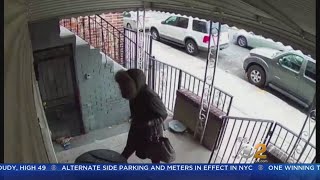 Package Thief Caught On Camera