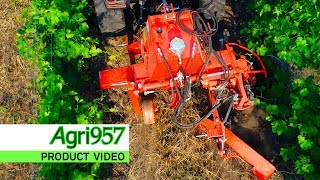 IN-ROW HYDRAULIC GROUP RINIERI for VINEYARD HOEING | RINIERI VELOX INTERCEPPO a ENOVITIS IN CAMPO