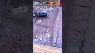 My First Video Plush Like