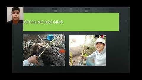 OJT report presentation