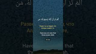 Ан-Нур 41-42 #quran #коран #beautiful #красивоечтениекорана