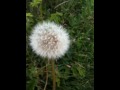 IMG 0143