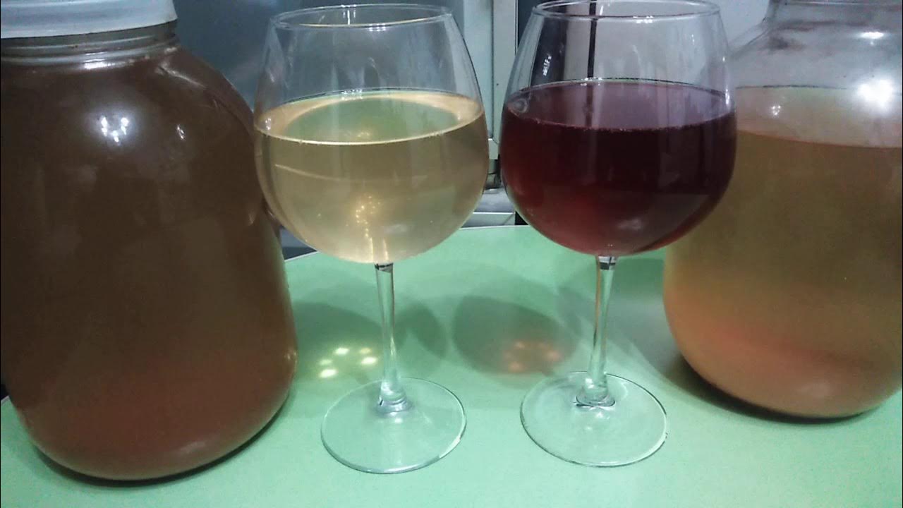 Белое вино яйца. Осветление вина желатином. Помутнение вина. Осветление домашнего вина. Осветление яблочного вина.