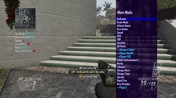 Bo2 Jiggy 4.5 ModMenu Show case #1