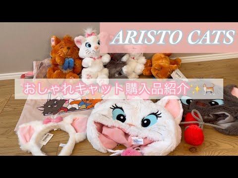 ディズニー購入品 新商品 マリーちゃんのグッズ購入品を紹介します Youtube