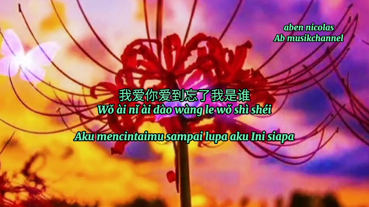 wo ai ni ai dao wang le wo shi shei ( 我爱你爱到忘了我是谁 ) terjemahan indo