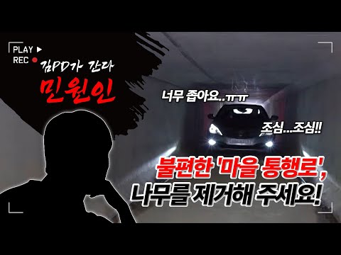 [금강방송]민원인-한 달 넘게 민원을 몰랐다는 지자체! 불편한 '마을 통행로', 나무를 제거해 주세요!(20230906)