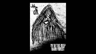 Mourning Soul - Yv In The Deep Dark Forest demo Version