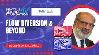 Flow Diversion And Beyond - Ajay Wakhloo, M.D., Ph.D.