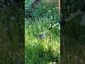 Промокод на OZON - LADY2026