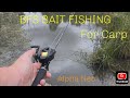 BFS BAIT FISHING for carp!