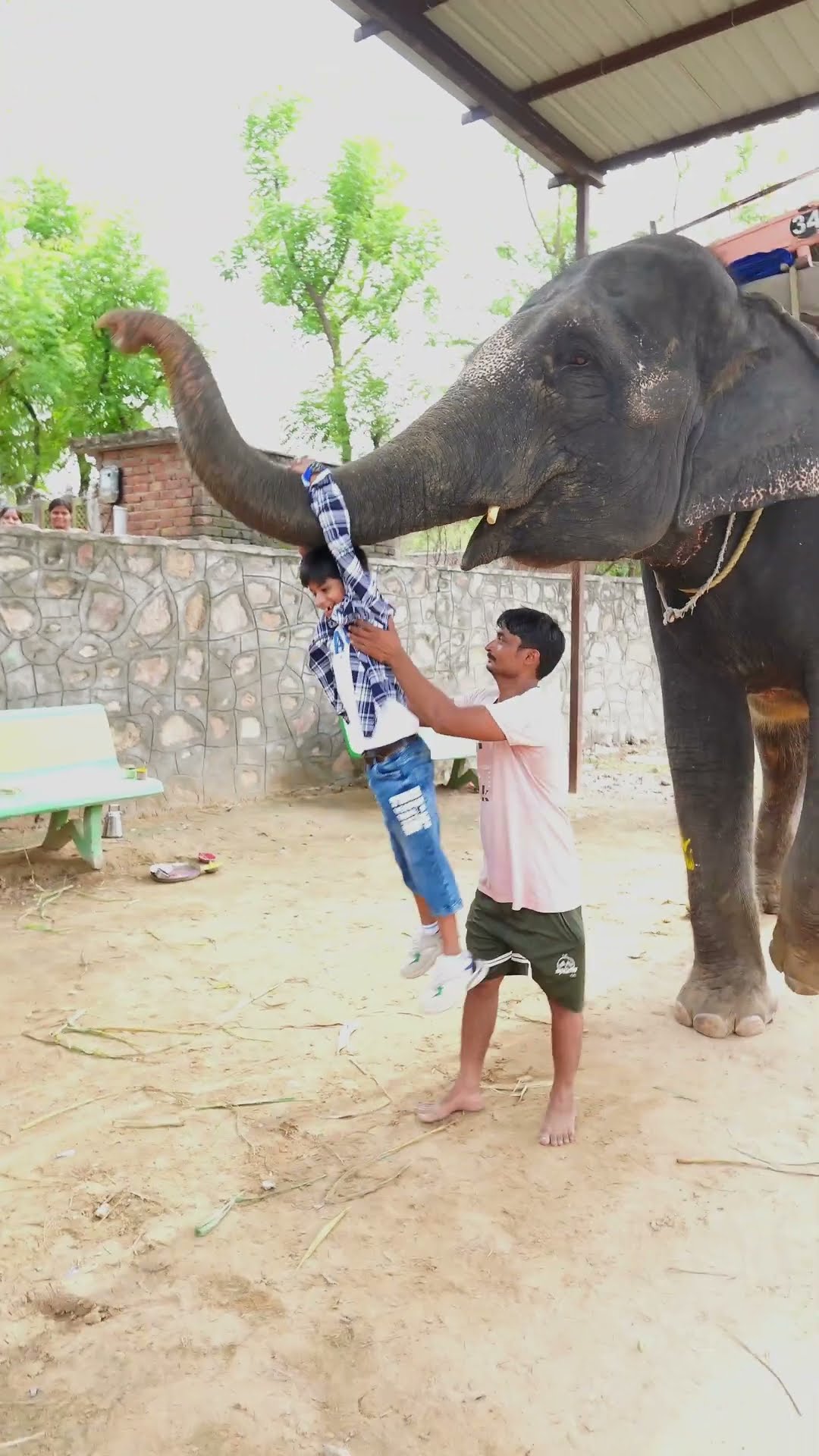 Elephant swing ?