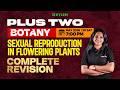Plus Two Botany | Sexual Reproduction In Flowering Plants - Complete Revision | Xylem Plus Two