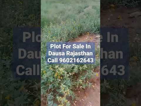 Plot For Sale In Dausa Rajasthan #dausa #rajasthan #plot #shorts #shortvideo #viral #trending