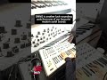 DMNO is another lush-sounding synth from one of our favourite brands – No talking demo