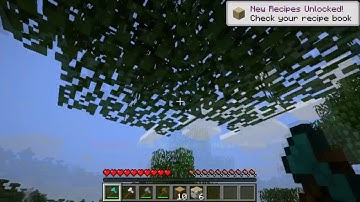 Timber | Minecraft Vanilla Mod Spotlight