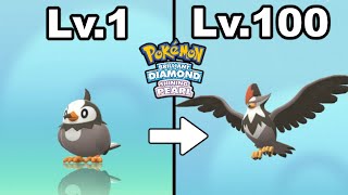 How To Get To Level 100 Fast! (EXP Grinding Strategy Guide For Pokemon BDSP Post Game )