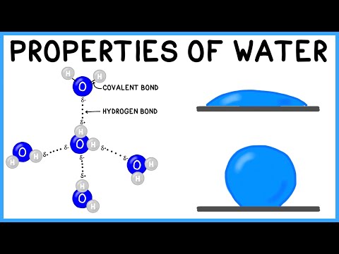 Video: Anong uri ng mga intermolecular bond ang umiiral sa pagitan ng mga molekula ng tubig?