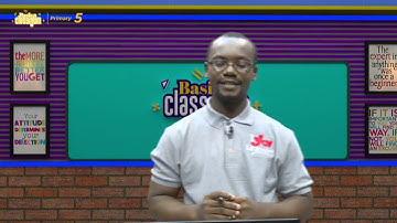 Basic Classroom - Ict - Generation of Computers Output Devices and Their Uses - (26-04-2022)