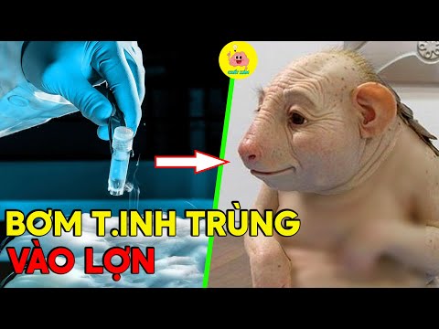Video Rò Rỉ 5 Pha L.AI TẠO Quái Đản Và Đáng Sợ Nhất Lịch Sử... - youtube