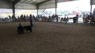 Umatilla County Fair 2026 - 4-H/FFA Market Hog Show