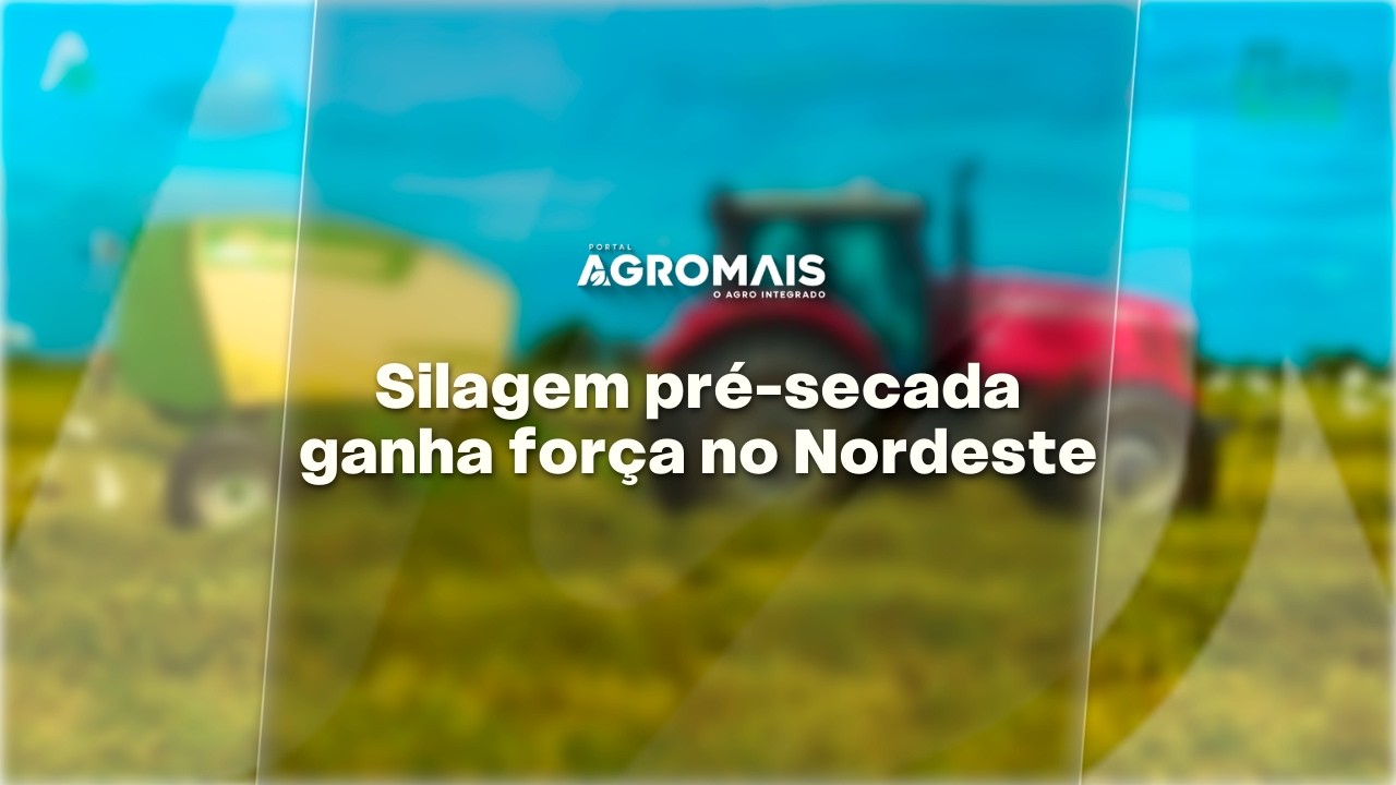 Silagem pré-secada ganha força no Nordeste - Panorama T2 E05