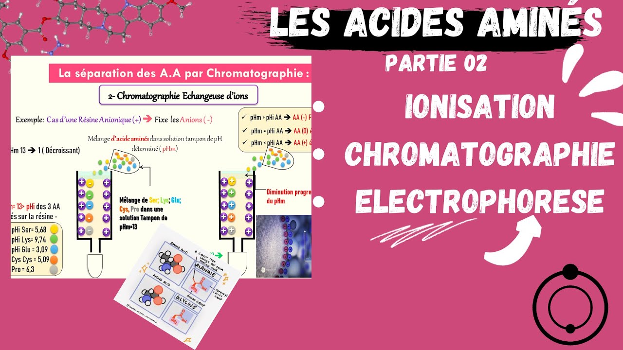 📣Acides Aminés : Ionisation, Electrophorèse, Chromatographie #CHROMATOGRAPHY#AMINOACIDS