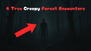 TRUE forest horror stories, Mark Twain National Forest