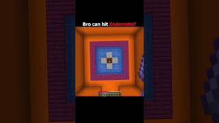 Bro can hit endermite? #minecraft