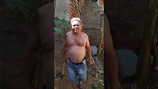 3 de novembro de 2025 ZÉ JÁ VISUAS AVENTURA  CORTANDO BANANEIRA