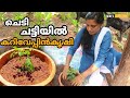 ചെടി ചട്ടിയിൽ കറിവേപ്പിൻകൃഷി | Curry leaves Krishi in Pot | Malayalam Farming