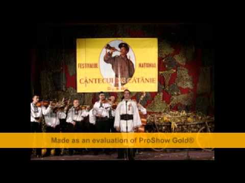 Auzi-i cucu cantand