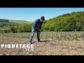 Comment on implante une vigne en champagne   champagne