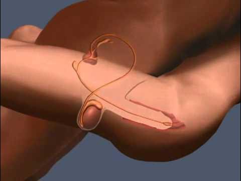 ВКонтакте порно жас