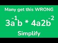 Simplifying Expressions with Negative Exponents