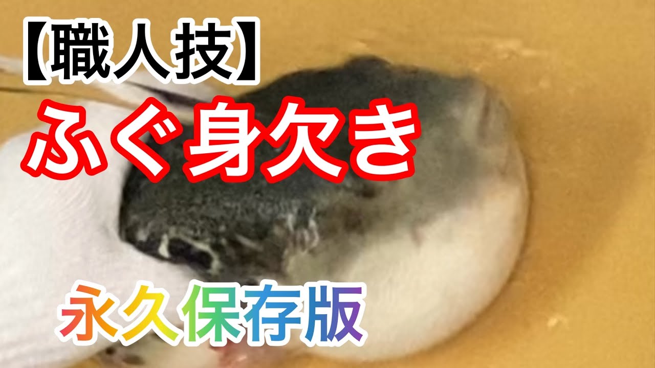 職人技】ふぐ身欠き！永久保存版！ - YouTube