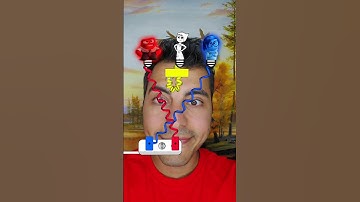 İnside out 2 cartoon brain test puzzle game #game #insideout2 #insideout #puzzle #shortsgame