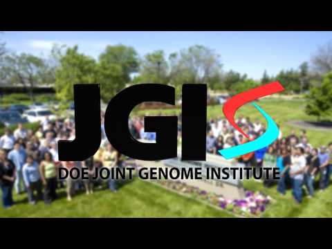 Energy Genomics at the DOE Joint Genome Institute