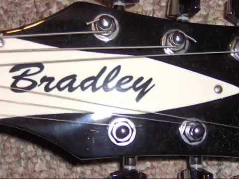 Bradley guitar Rickenbacker 330 copy for sale on ebay ... SOLD