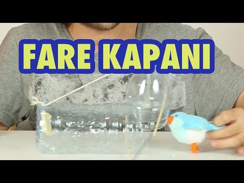 İnsancıl Fare Kapanı Nasıl Yapılır?